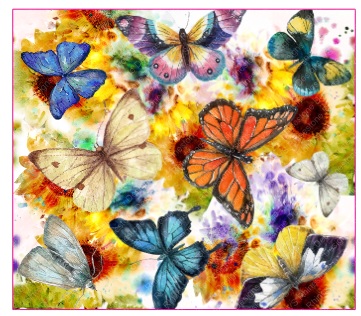 Butterflies CLEAR CAST Full Color Wrap 20oz